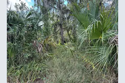 3721 Porter Road, Lithia, FL 33547 - Photo 7