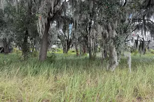 3721 Porter Rd, Lithia, FL 33547 - Photo 5