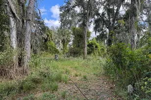 3721 Porter Rd, Lithia, FL 33547 - Photo 3