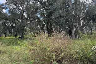 3721 Porter Rd, Lithia, FL 33547 - Photo 9