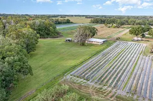 910 Bumby Ln, Wauchula, FL 33873 - Photo 33