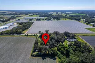 332 Holloway Rd, Plant City, FL 33567 - Photo 89