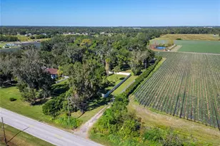 332 Holloway Rd, Plant City, FL 33567 - Photo 79