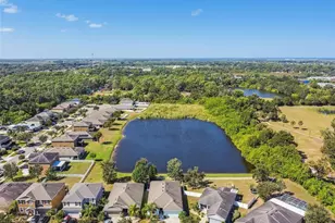 1110 Lauren Manor Loop, Ruskin, FL 33570 - Photo 45