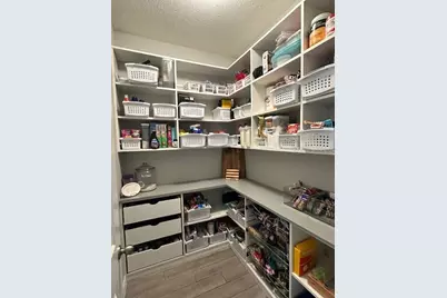 33135 Sand Creek Drive, Wesley Chapel, FL 33543 - Photo 51