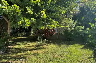 31 N Fredrica Ave, Clearwater, FL 33755 - Photo 27