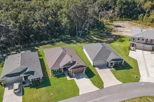 199 Bittern Loop, Inverness, FL 34453 - Photo 33