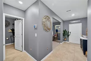 1015 Golden Shiner Ave, Ruskin, FL 33570 - Photo 23