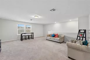 1015 Golden Shiner Ave, Ruskin, FL 33570 - Photo 15