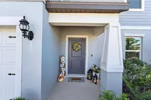 1015 Golden Shiner Ave, Ruskin, FL 33570 - Photo 5