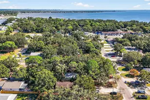 3133 Huron Ave, Oldsmar, FL 34677 - Photo 43