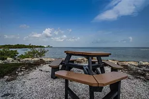 5000 Culbreath Key Way, Tampa, FL 33611 - Photo 83