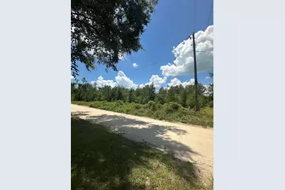 209th Road, Live Oak, FL 32060 - Photo 3