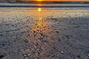 231 S Julia Cir, Saint Pete Beach, FL 33706 - Photo 29