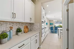 10516 Tranquil Meadow Loop, Riverview, FL 33569 - Photo 23