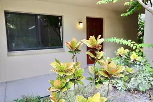 11702 Raintree Village Blvd, Temple Terrace, FL 33617 - Photo 1