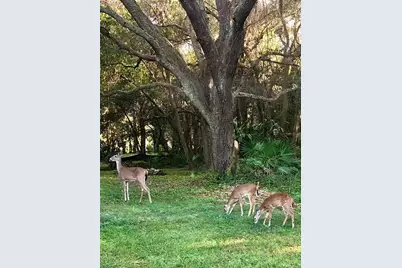 12054 Quail Ridge Drive, Spring Hill, FL 34610 - Photo 51