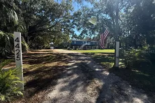 4425 Pine St, Valrico, FL 33596 - Photo 61