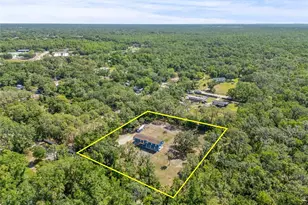 4425 Pine St, Valrico, FL 33596 - Photo 71