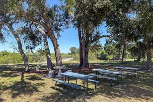 3281 38th Way S, Saint Petersburg, FL 33711 - Photo 29