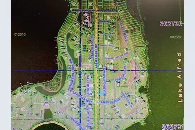 155 Blazing Star Avenue, Lake Alfred, FL 33850 - Photo 9