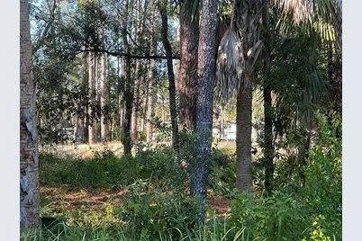 6347 W Arter Street, Crystal River, FL 34429 - Photo 5