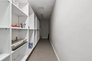 4161 Rolling Springs Dr, Tampa, FL 33624 - Photo 49