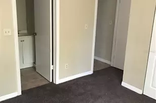 7101 E Bank Dr, Tampa, FL 33617 - Photo 9