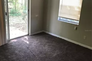 7101 E Bank Dr, Tampa, FL 33617 - Photo 7