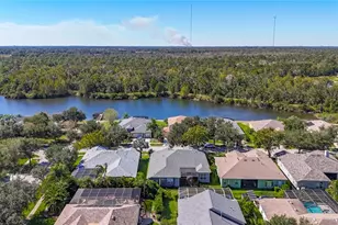 16158 Bridgepark Dr, Lithia, FL 33547 - Photo 49