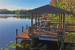 21604 Draycott Way, Land O Lakes, FL 34637 - Photo 83