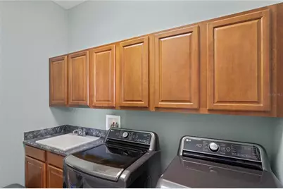 21604 Draycott Way, Land O Lakes, FL 34637 - Photo 47
