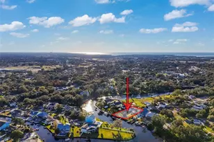 5560 Frances Ave, New Port Richey, FL 34653 - Photo 91