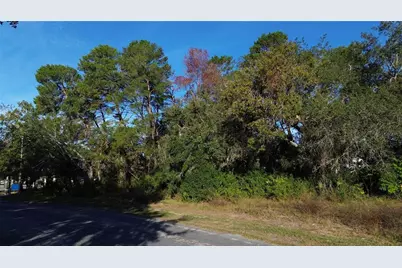 7939 Rhanbuoy Road, Spring Hill, FL 34606 - Photo 3