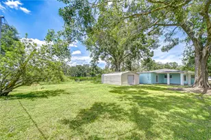 910 Linwood Terrace, Lutz, FL 33549 - Photo 39