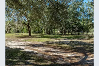 34800 Orange Belt Drive, Dade City, FL 33523 - Photo 67