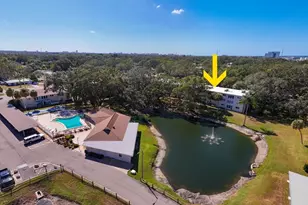 821 Patricia Ave, Dunedin, FL 34698 - Photo 25