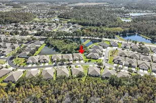 31034 Whitlock Dr, Wesley Chapel, FL 33543 - Photo 33
