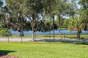 6002 Sparrowhead Wy, Lithia, FL 33547 - Photo 55