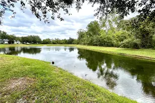 15902 Cedar Elm Terrace, Land O Lakes, FL 34638 - Photo 31