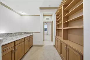 19238 Climbing Aster Dr, Tampa, FL 33647 - Photo 35