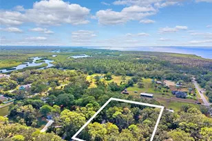 12210 State St, Tampa, FL 33635 - Photo 39