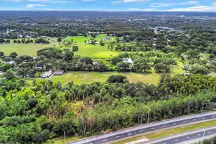 17515 Lakeshore Rd, Lutz, FL 33558 - Photo 59