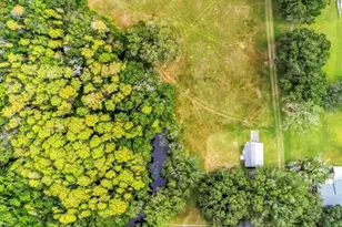 17515 Lakeshore Rd, Lutz, FL 33558 - Photo 3