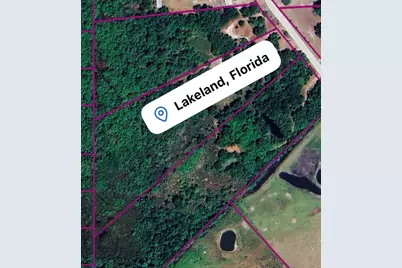 432 Wildlife Trail, Lakeland, FL 33809 - Photo 11