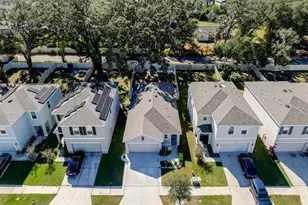 10945 Trailing Vine Dr, Tampa, FL 33610 - Photo 3