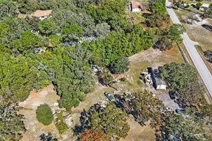 18155 Nelson Rd, Spring Hill, FL 34610 - Photo 35