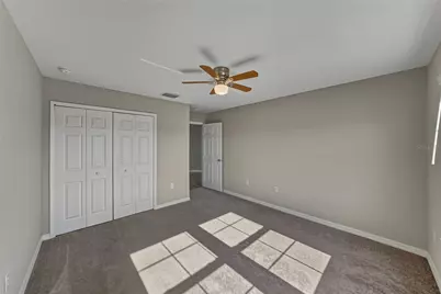 7628 Surf Reed Way, Wesley Chapel, FL 33545 - Photo 43