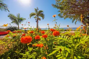 2158 Blossom Way S, Saint Petersburg, FL 33712 - Photo 67