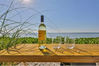 2158 Blossom Way S, Saint Petersburg, FL 33712 - Photo 57